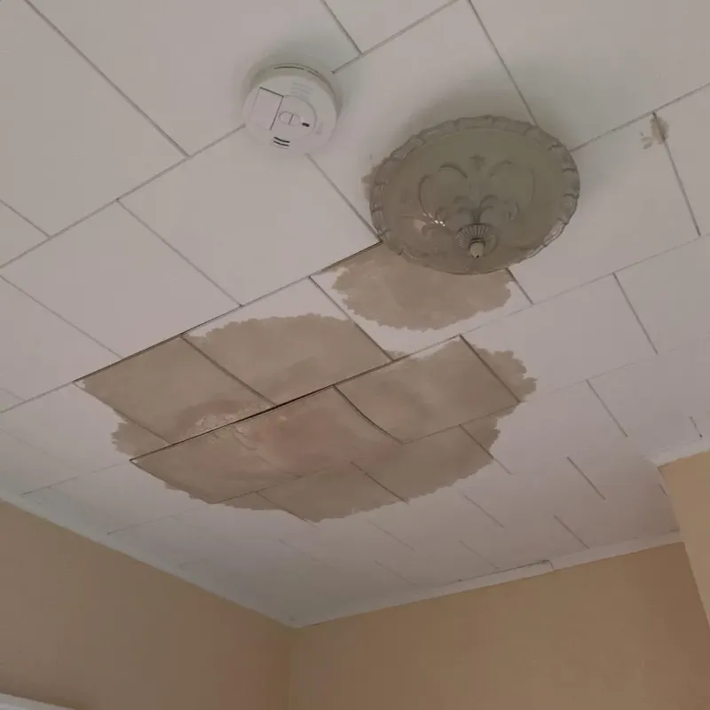 Ceiling Water Damage Repair in Dover, MA